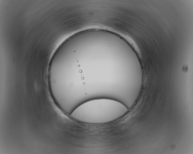 X0000093130903200709261033