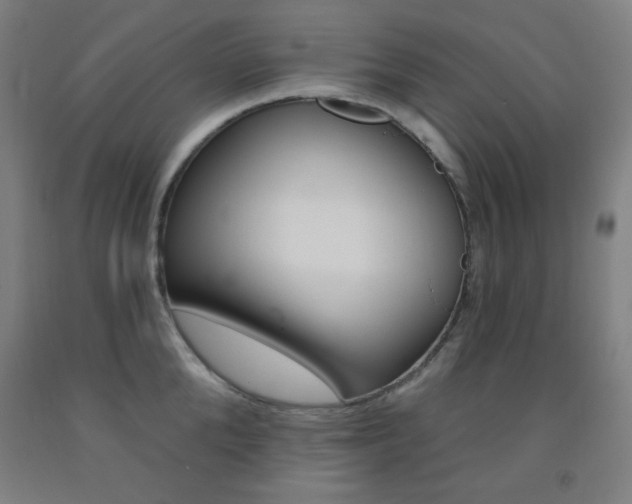 X0000093130904200709261033