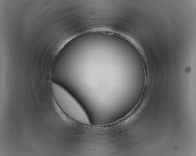 X0000093130905200709261033
