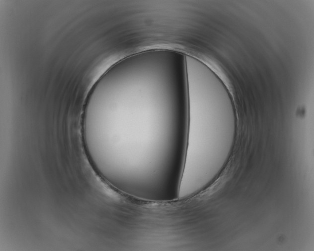 X0000093130906200709261033