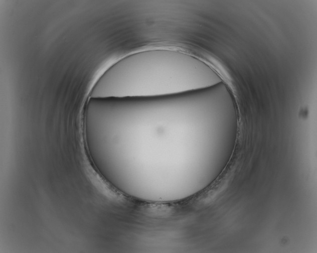 X0000093130907200709261033