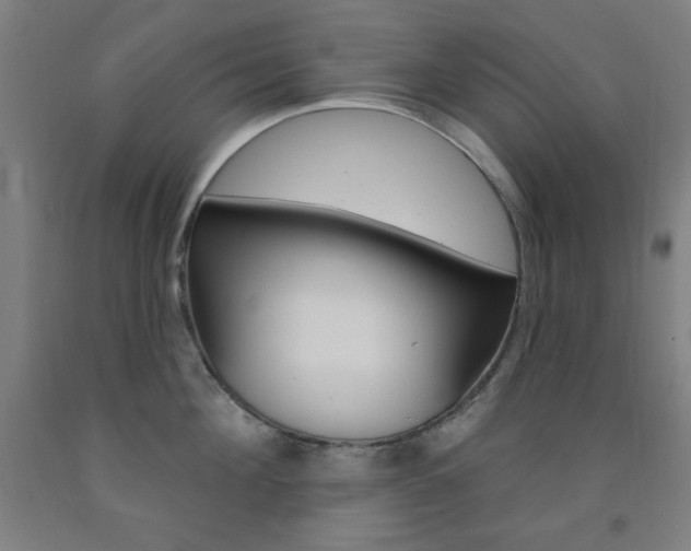 X0000093130908200709261033