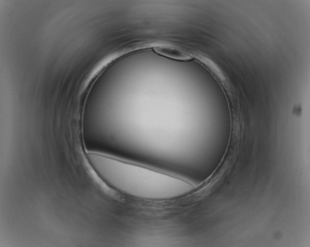X0000093130910200709261033