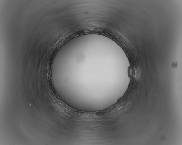 X0000093130915200709261032