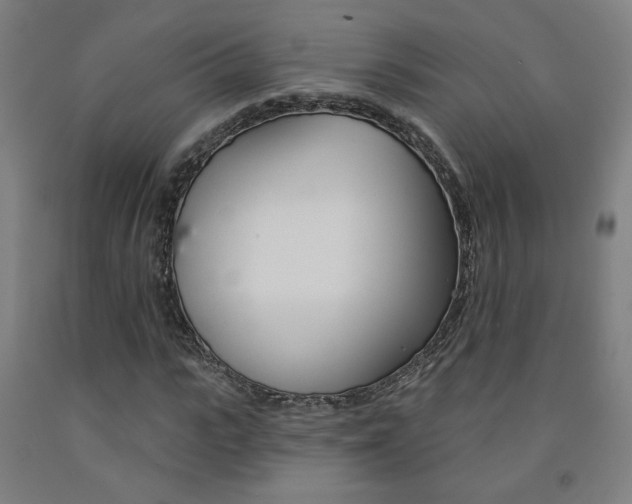 X0000093130919200709261032