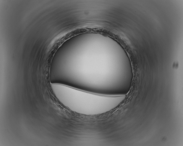 X0000093130920200709261032