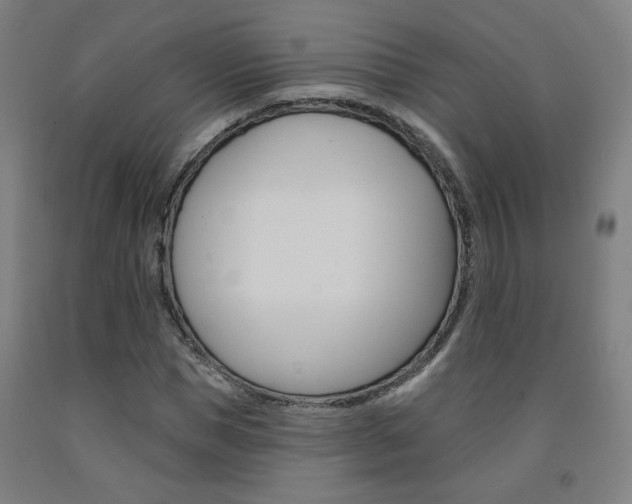 X0000093130921200709261032