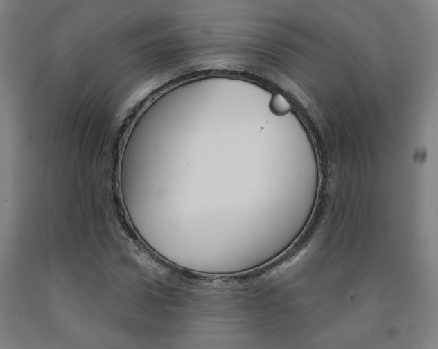 X0000093130922200709261032