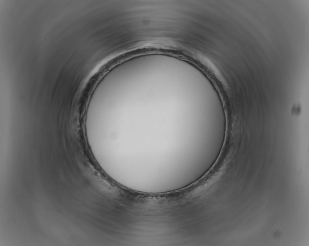 X0000093130923200709261032
