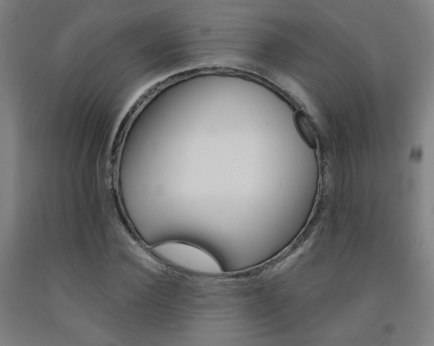 X0000093130924200709261032