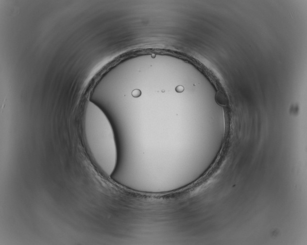 X0000093130925200709261032