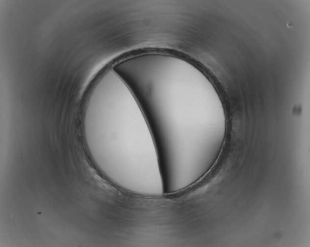 X0000093130926200709261032