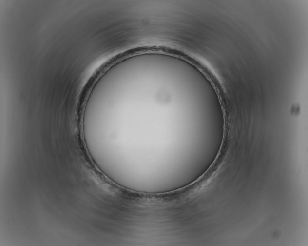 X0000093130927200709261032