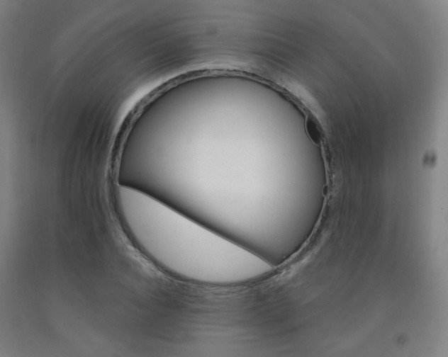 X0000093130928200709261032