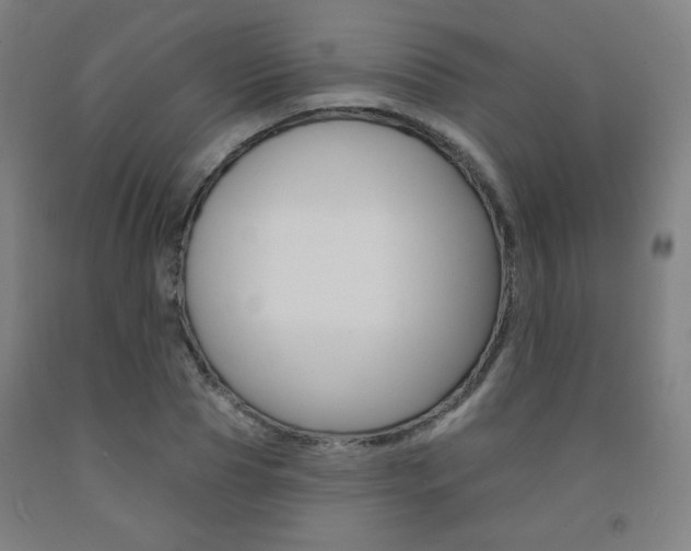 X0000093130929200709261032