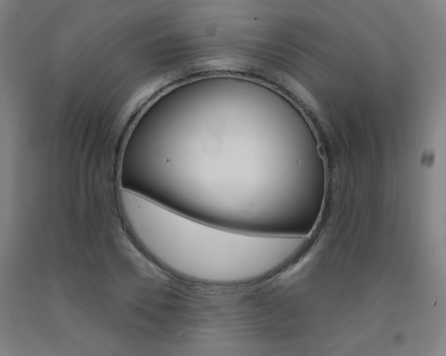 X0000093130930200709261032