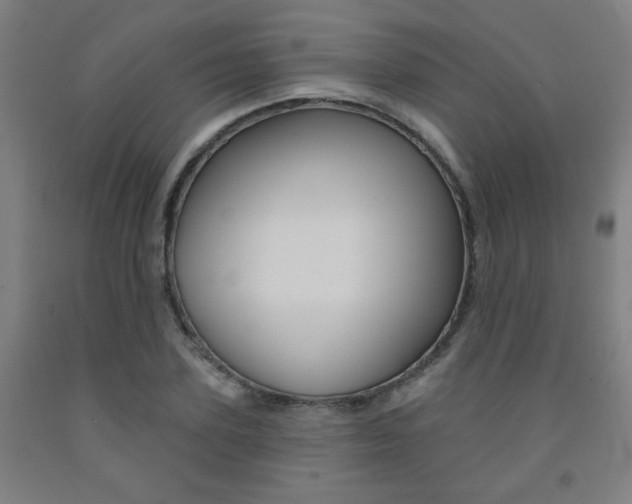 X0000093130931200709261032