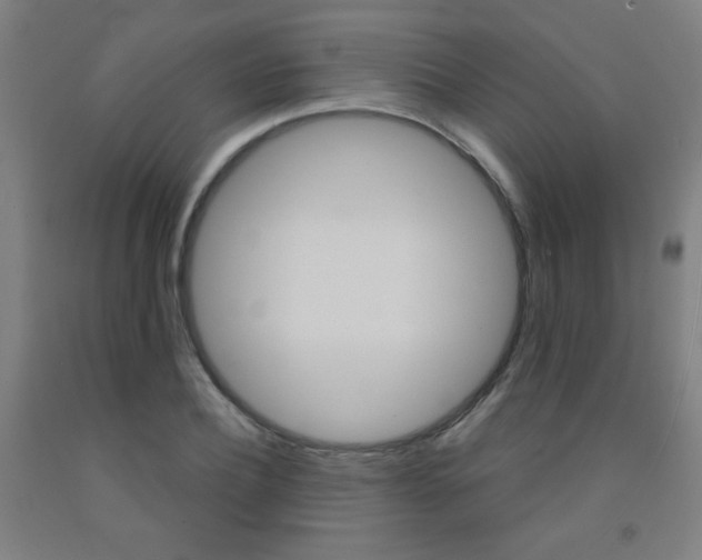 X0000093130932200709261032