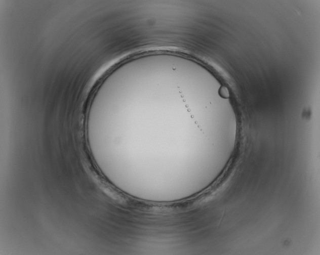 X0000093130933200709261032