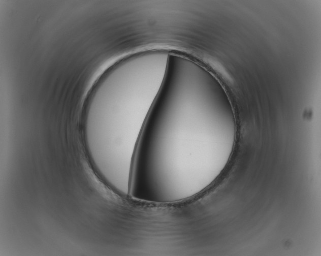 X0000093130934200709261032