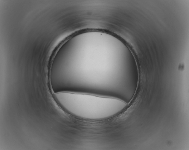 X0000093130935200709261032