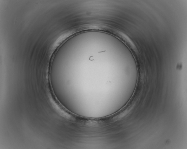 X0000093130938200709261032