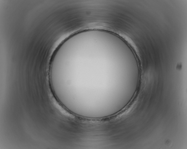 X0000093130941200709261032