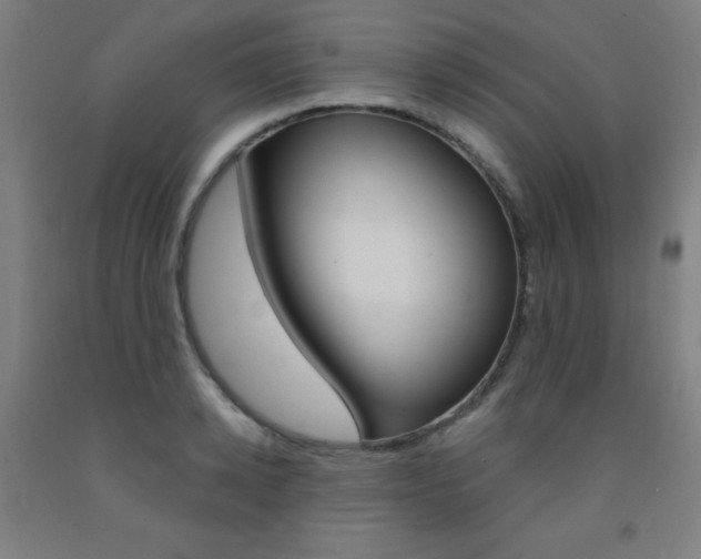 X0000093130942200709261032