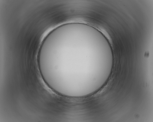 X0000093130944200709261032