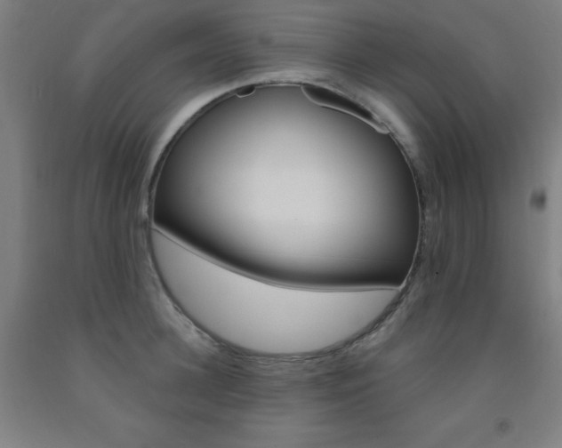 X0000093130948200709261032