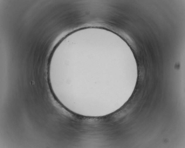 X0000093130950200709261032