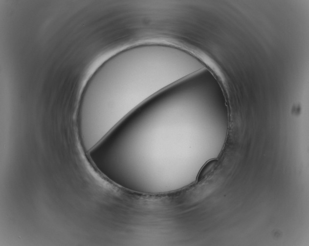 X0000093130951200709261032