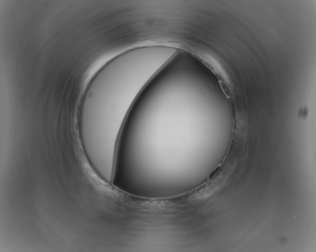 X0000093130952200709261032