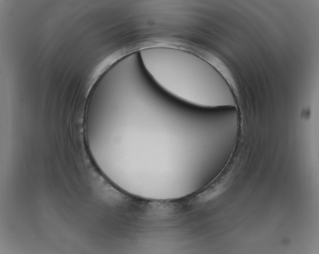 X0000093130954200709261032