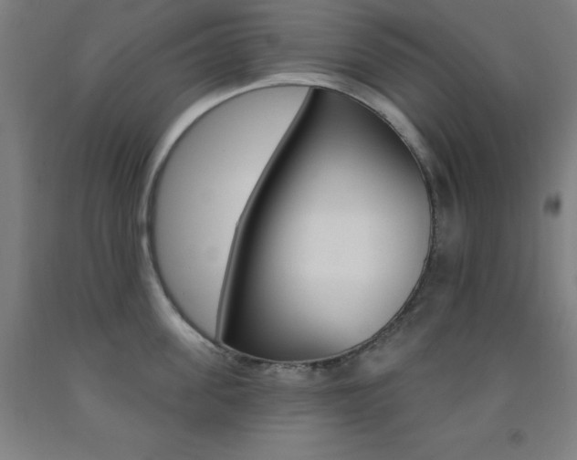 X0000093130955200709261032