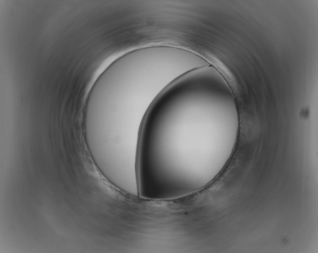 X0000093130956200709261032