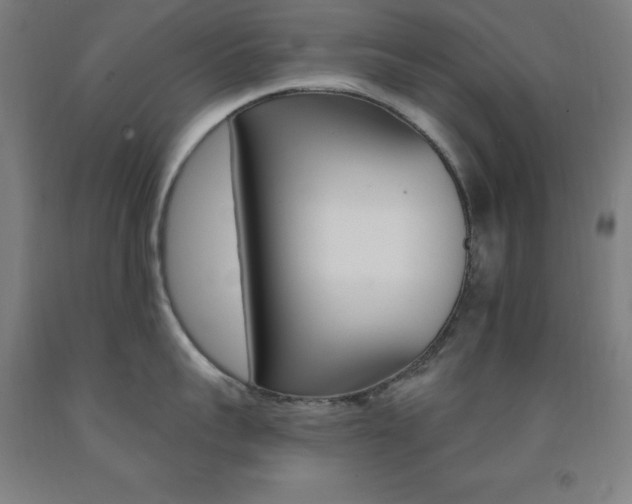 X0000093130959200709261032