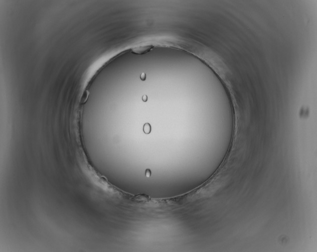 X0000093130960200709261032