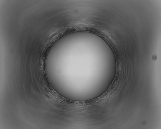 X0000093130964200709261032