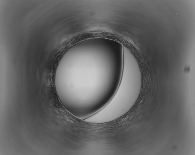 X0000093130965200709261032
