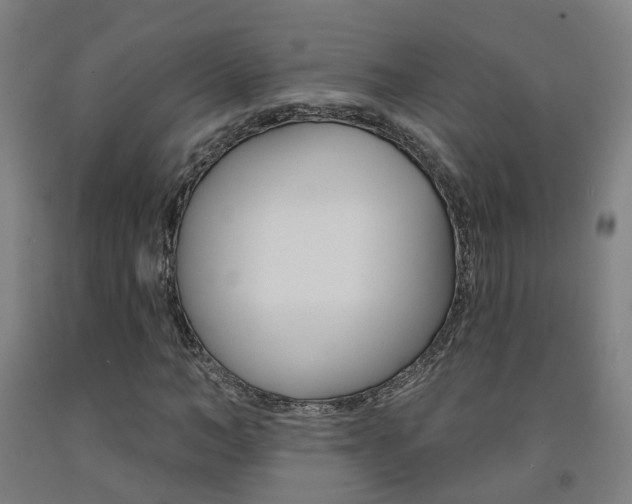 X0000093130966200709261032