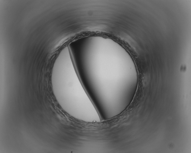 X0000093130968200709261032