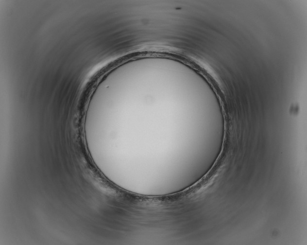 X0000093130971200709261032