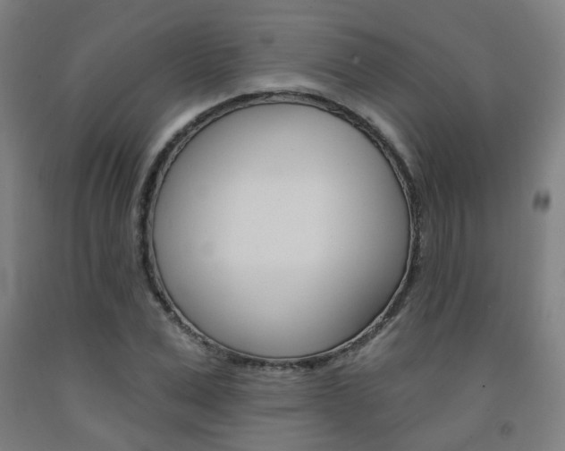 X0000093130975200709261032