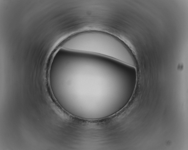 X0000093130976200709261032