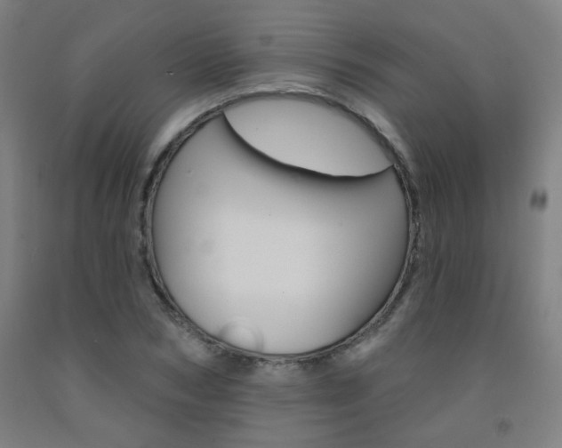 X0000093130978200709261032