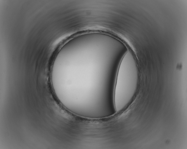 X0000093130979200709261032