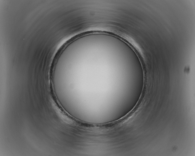 X0000093130980200709261032