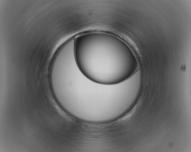 X0000093130981200709261032