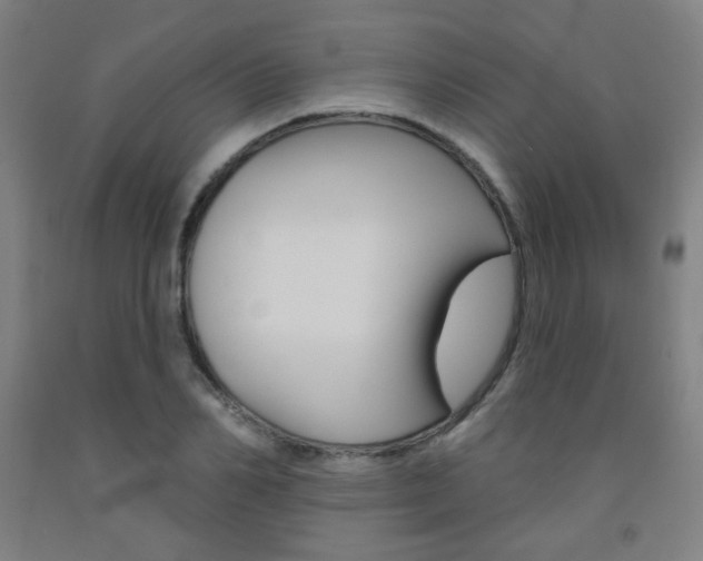 X0000093130982200709261032